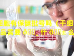 干细胞有保健批号吗（干细胞的产品需要 🕸 什 🐱 么批号）